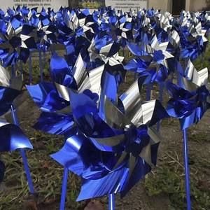 Meet your Posher, Carolyn